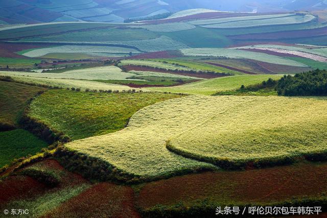 2018呼伦贝尔的旅游攻略，全在这里