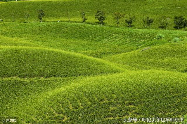 2018呼伦贝尔的旅游攻略，全在这里